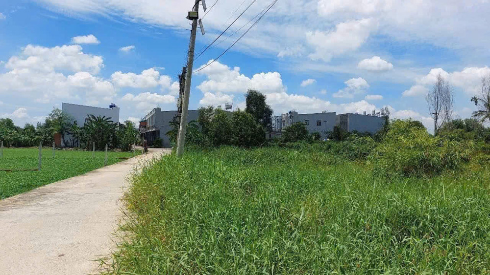 Hàng Thơm Củ Chi – Full Thổ Cư 1000M² – Gần Vành Đai 3 – Chỉ 10 Tỷ Tl