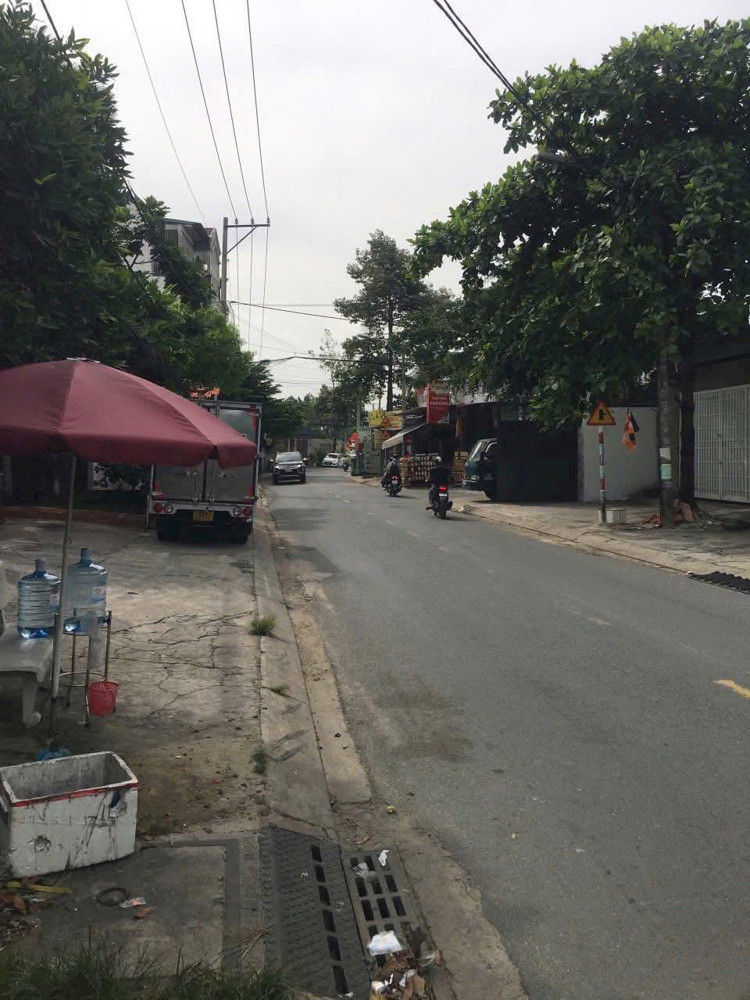 Ngộp Bán Xưởng Mt Xuân Thới 2, Hóc Môn Gần Trần Văn Mười Full Thổ Giá 15.8 Tỷ!