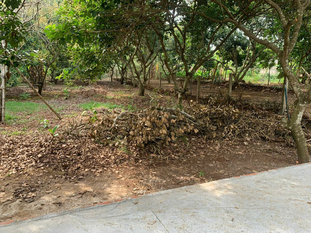 Chỉ 1.68 Tỷ (Bớt Lộc) - Bán Vườn Chôm Chôm Xã Bàu Hàm 2 - Thống Nhất - Đồng Nai