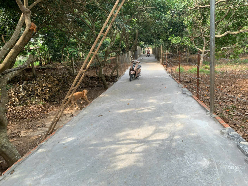 Chỉ 1.68 Tỷ (Bớt Lộc) - Bán Vườn Chôm Chôm Xã Bàu Hàm 2 - Thống Nhất - Đồng Nai