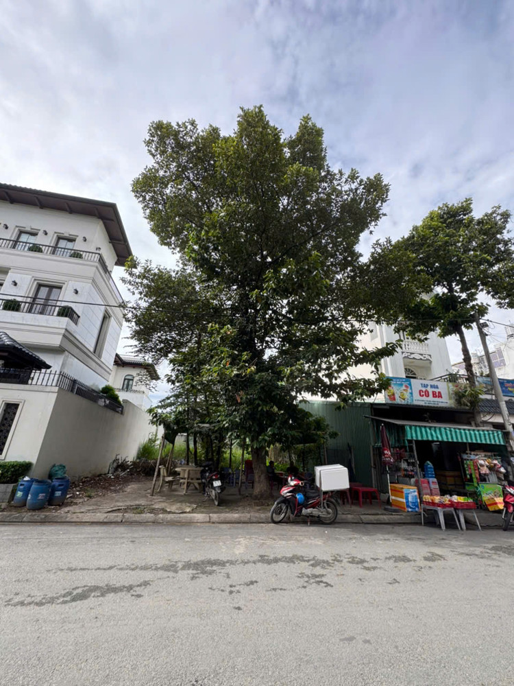 2 Lô Đất Liền Kề Đường 10M Có Vỉa Hè Cách Mt Lê Thị Riêng Chỉ 20M – 2Shr