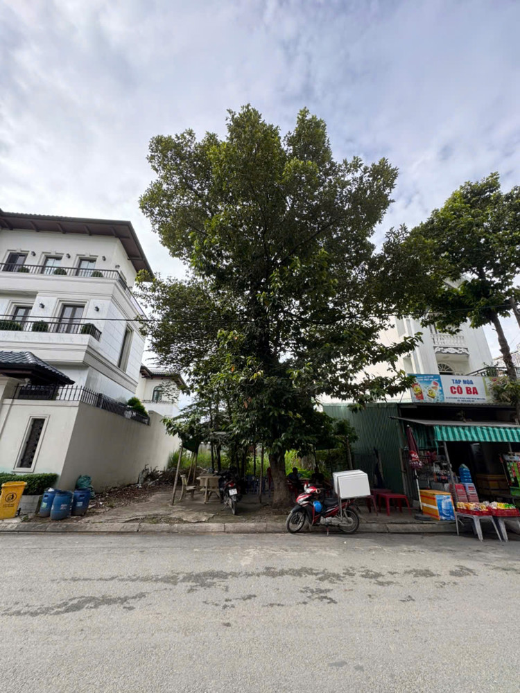 2 Lô Đất Liền Kề Đường 10M Có Vỉa Hè Cách Mt Lê Thị Riêng Chỉ 20M – 2Shr