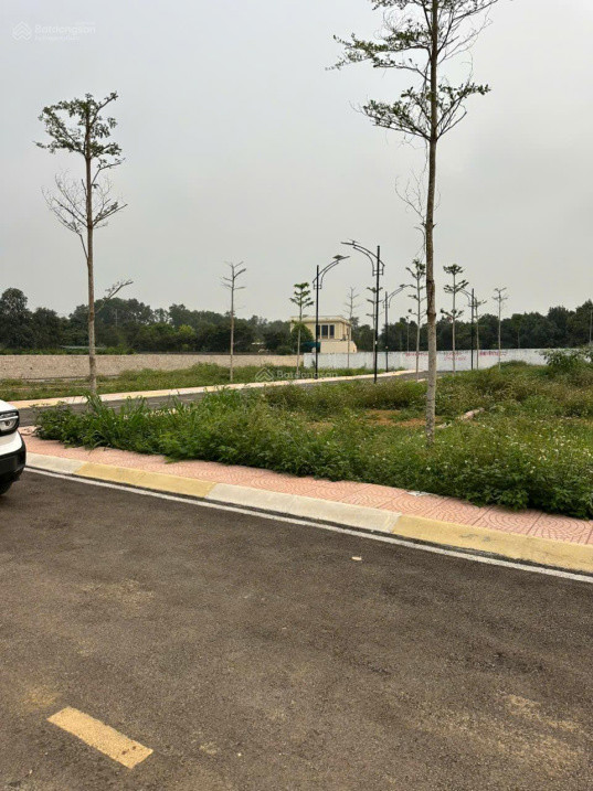 Cực Hiếm! Lô Đất Đường 12M – Sát Trục Hồ Tây Ba Vì – Full Thổ Cư – Chỉ 1 Lô Duy Nhất!