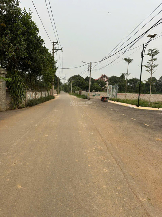 Cực Hiếm! Lô Đất Đường 12M – Sát Trục Hồ Tây Ba Vì – Full Thổ Cư – Chỉ 1 Lô Duy Nhất!