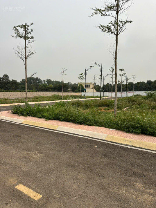 Cực Hiếm! Lô Đất Đường 12M – Sát Trục Hồ Tây Ba Vì – Full Thổ Cư – Chỉ 1 Lô Duy Nhất!