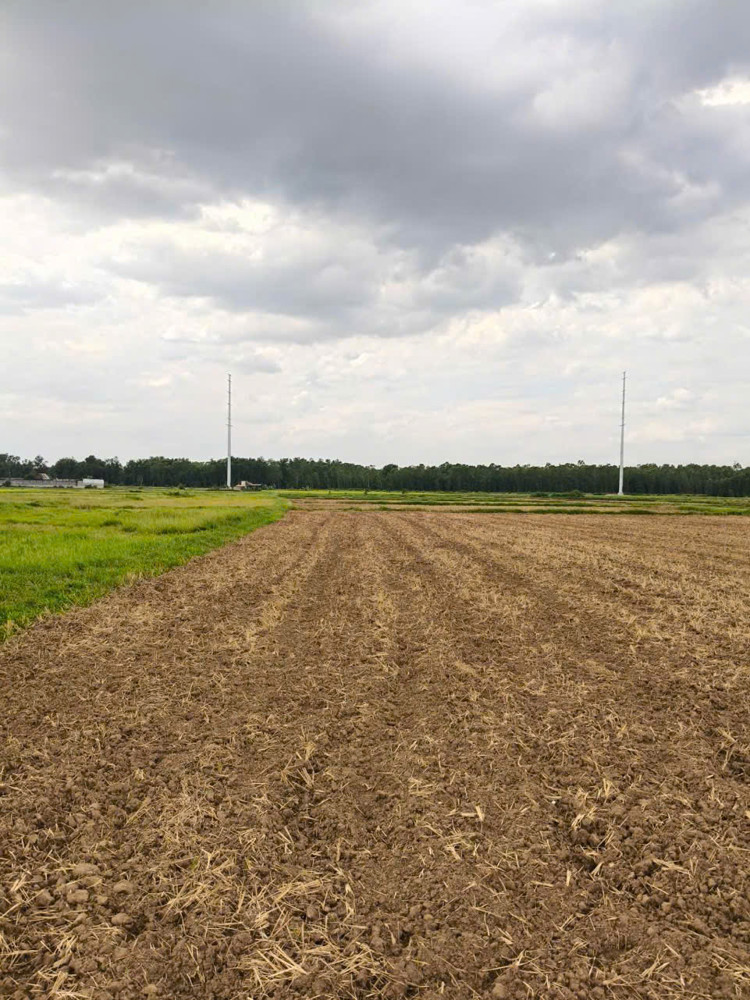 Đất Vip (59X120) Mặt Tiền Xuân Thới Thượng 2 Chỉ Hơn 2 Triệu/m² – Shr