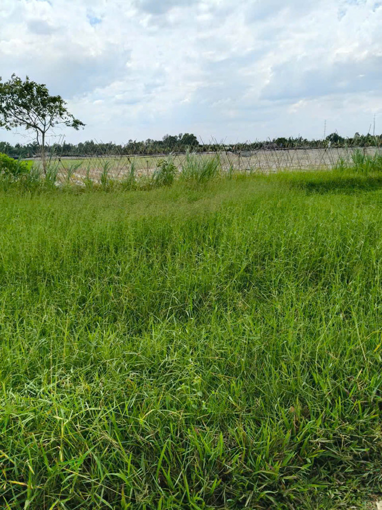 Đất Vip (59X120) Mặt Tiền Xuân Thới Thượng 2 Chỉ Hơn 2 Triệu/m² – Shr