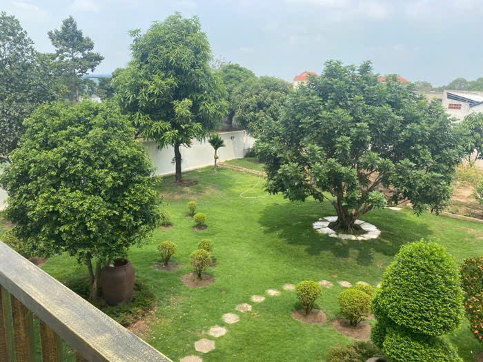 Biệt Phủ Sân Vườn – Mặt Tiền Đường Lớn – Full Nội Thất – Tân Xuân 2, Hóc Môn