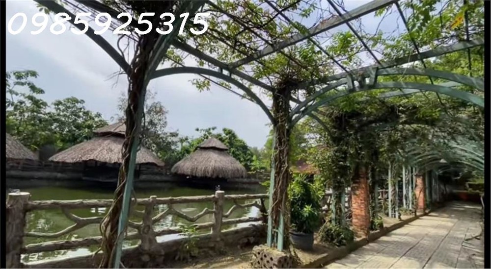 Bán 1.4Ha Mặt Tiền Bình Phú – Tp Thủ Đức Giá Chỉ 200 Tỷ (~17Tr/m²)