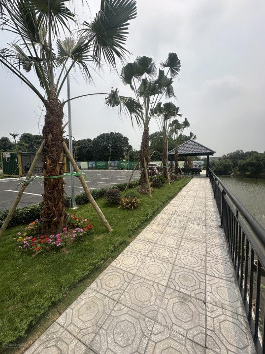 Bán Gấp Đất Mặt Đường Đồng Trạng, Hl,Hn Ngõ To Như Phố Oto Thông Các Ngả 100M2 Mt 6M Giá Thoả Thuận