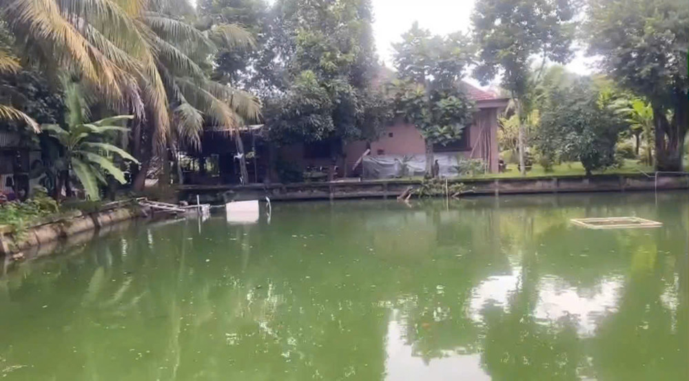 Bán Đất + Biệt Thự Gần 4000M², Nhị Bình, Đông Thạnh), Hóc Môn 25 Tỷ!