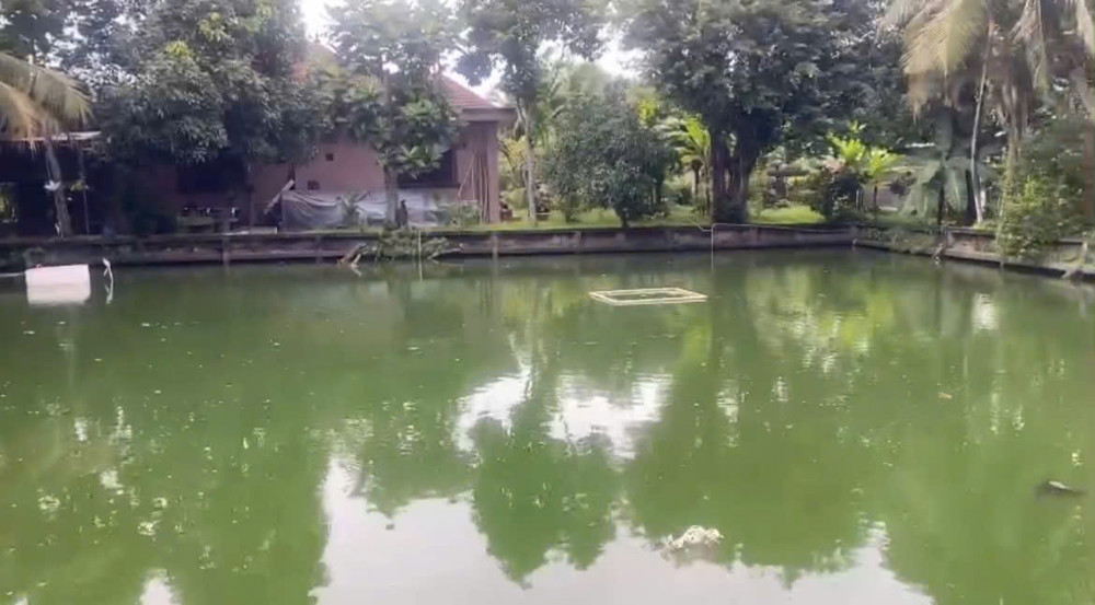 Bán Đất + Biệt Thự Gần 4000M², Nhị Bình, Đông Thạnh), Hóc Môn 25 Tỷ!