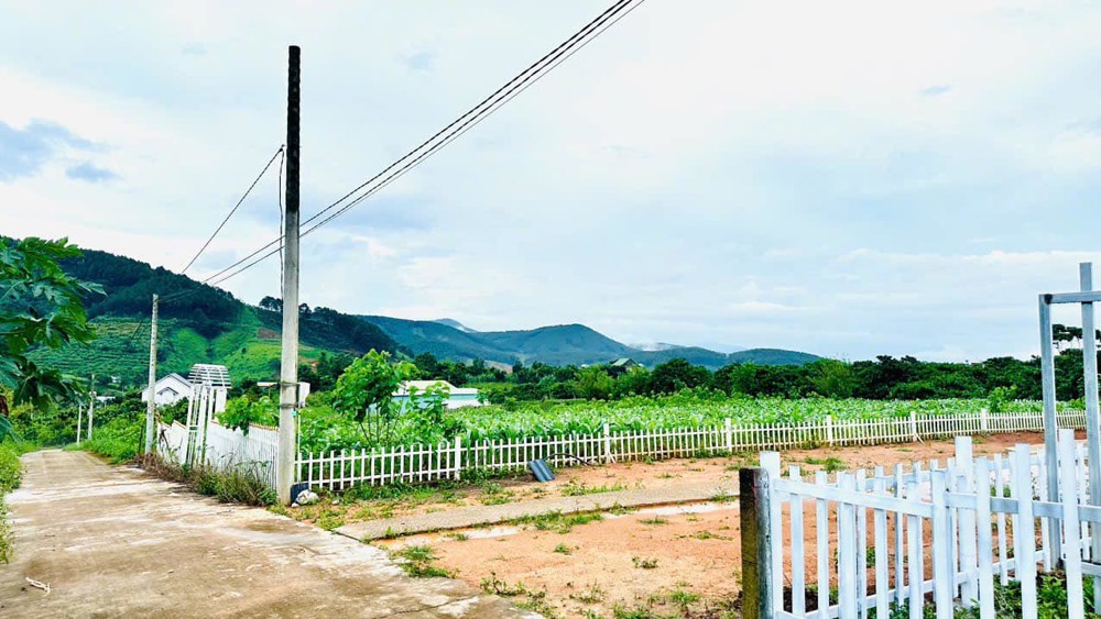 Chủ Cắt Lỗ Bán Gấp Lô Đất Đông Thanh Lâm Hà Lâm Đồng