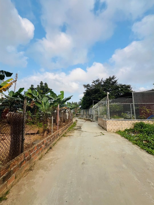 Bán Đất Thiên Hương – Thuỷ Nguyên – Ngõ 5M Ô Tô – Giá 1,68 Tỷ