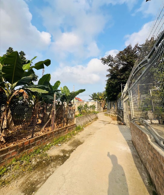 Bán Đất Thiên Hương – Thuỷ Nguyên – Ngõ 5M Ô Tô – Giá 1,68 Tỷ