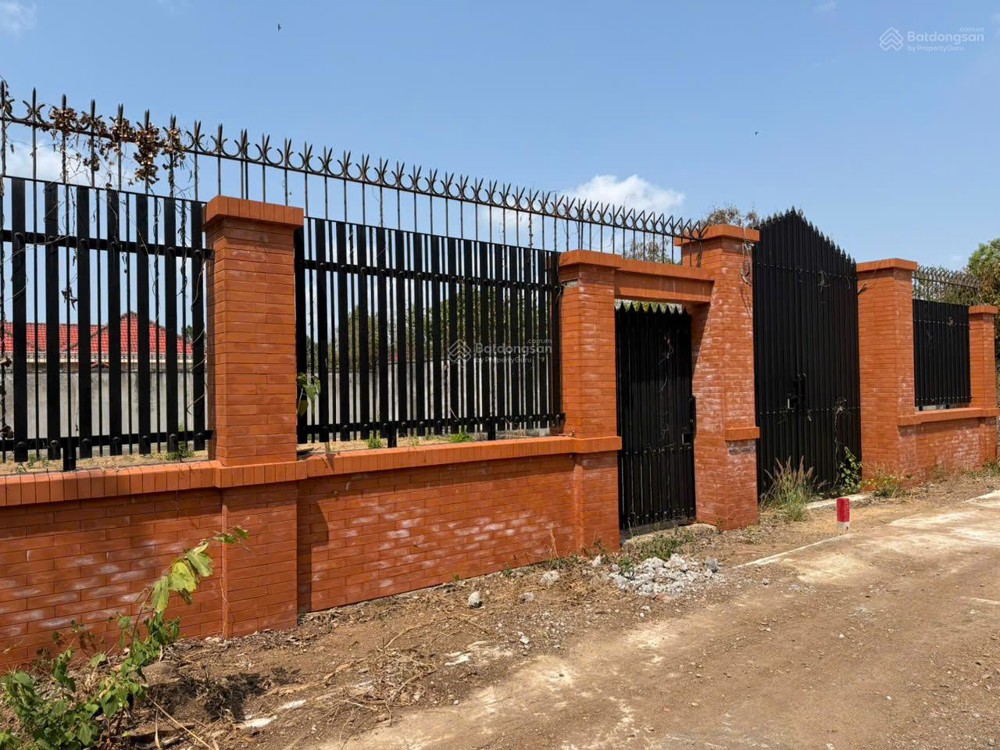 Bán Gấp 3 Lô F0 -Sẵn Sổ -Chưa Qua Đầu Tư -Tại An Ngãi-Long Điền-Hcm. Lh: 0916169579