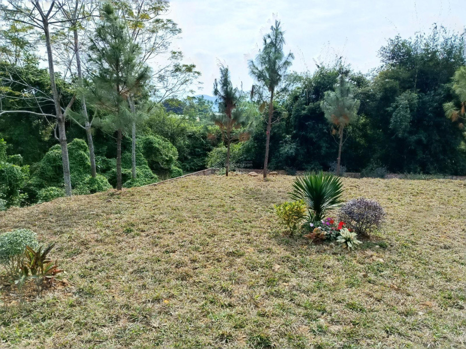 Cực Sốc ,Rẻ Nhất Hoà Lạc,Lô 104,2M2 Phúc Tiến, Bình Yên Tuyến 2 Đường Dt420 Cách Công Nghệ Cao Hoà