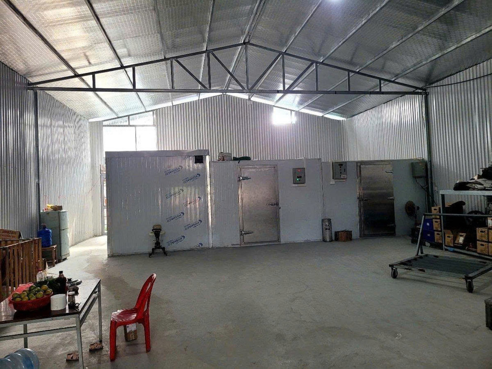 Tứ Liên Trở Lại – 305M2 Đất Vàng – Mặt Tiền 10.5M – Dòng Tiền Sẵn – Chỉ 6.5 Tỷ