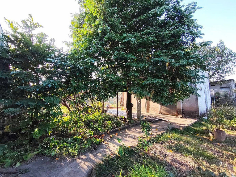 Hàng Kín Âu Cơ – 1450M2 – 2 Mặt Ô Tô – Kho Xưởng Sẵn – Chủ Nợ Bank Cần Ra Hàng Ngay