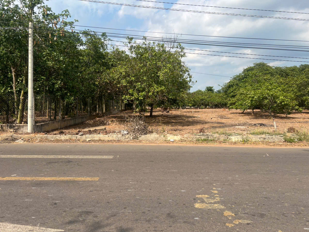 Bán Đất Mt Nhựa Xuân Hiệp-Tân Tiến, Xuân Lộc. Đồng Nai. Giá 3.25Ty. Lh 0984488048