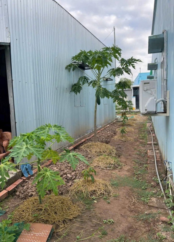 Vị Trí Đẹp - Giá Tốt - Bán Đất Tặng Nhà Tiền Chế Tại Khóm 1, Phường 1, Tp Bạc Liêu