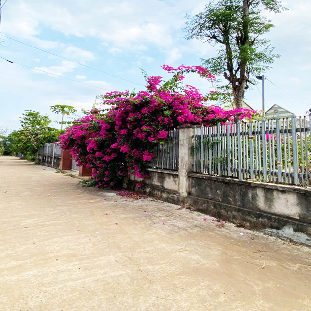 Cạnh Đường Nhựa Xuân Lộc – Long Khánh. Tcsr. Giá Ngộp Chỉ 490Tr