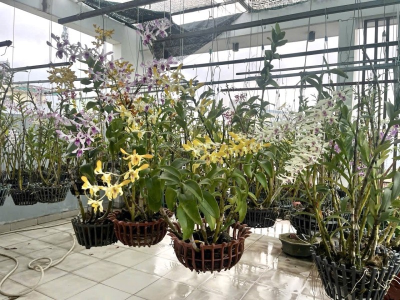 Bán Nhà Đường 339, Phường Phước Long B, Q9, Thủ Đức, Tp Hcm. Dt 100M2, 4 Tầng, Sh. Giá 11,9 Tỷ