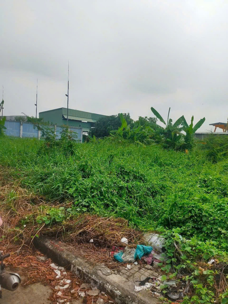 Siêu Phẩm 3Mt Nguyễn Văn Bứa – 2.617M² – Đường Container – Giá Chỉ 33 Tỷ