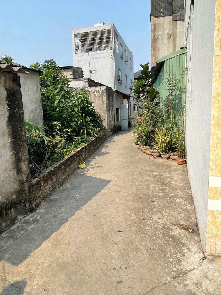 Bán Đất Hạ Đoạn 4 – Đông Hải – Ngõ Thông – Giá 1,39 Tỷ