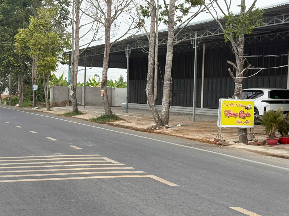 Bán Gấp Đất Dt: 1750M2, Mặt Tiền 21M, Dòng Tiền 20Tr/tháng Mặt Tiền Ấp Trường Thọ, Xã Trường Xuân,