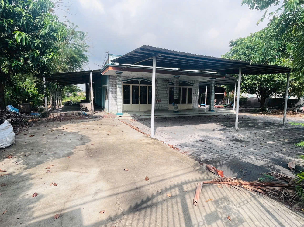 Bán Đất Bến Than Hòa Phú Củ Chi – 2.534M² – Có Nhà – Gần Vành Đai 3 Hơn 29Đ
