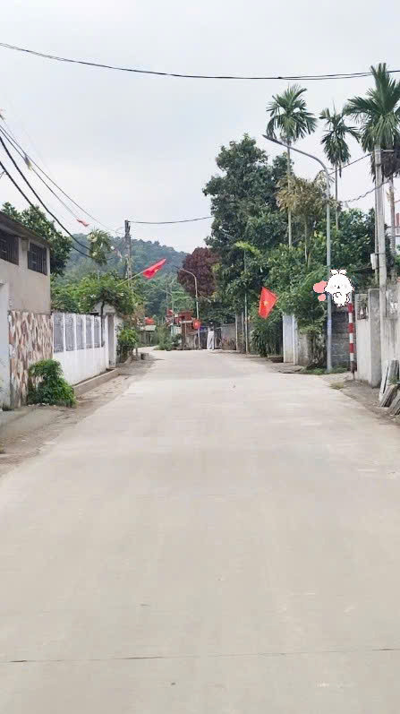 Cần Tiền Gấp Lô Đất View Hồ 100M2 Vài Bước Tới Đại Học Quốc Gia Hà Nội