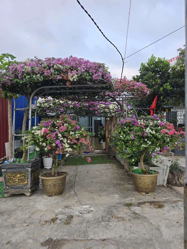 Chính Chủ Bán Nhà Mặt Tiền Lý Thái Tổ Đồ Sơn – Gần Biển Đồi Rồng – 65M2 – 3.3 Tỷ – Kinh Doanh Tốt