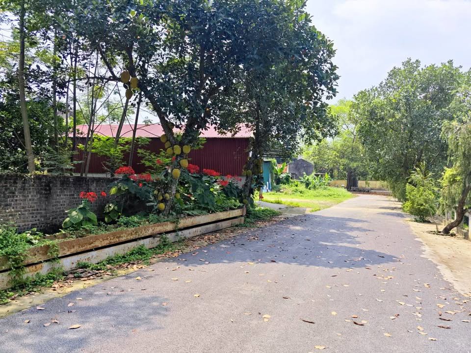 Sốc Lô Đất 101M2 Phú Cát View Hồ, Khu Vực Trung Tâm Hòa Lạc. Phù Hợp Xây Trọ, Đầu Tư Sinh Lời, Kết