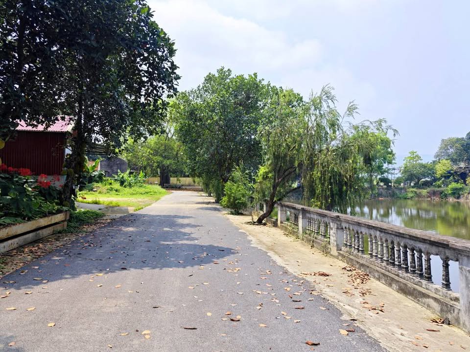 Sốc Lô Đất 101M2 Phú Cát View Hồ, Khu Vực Trung Tâm Hòa Lạc. Phù Hợp Xây Trọ, Đầu Tư Sinh Lời, Kết