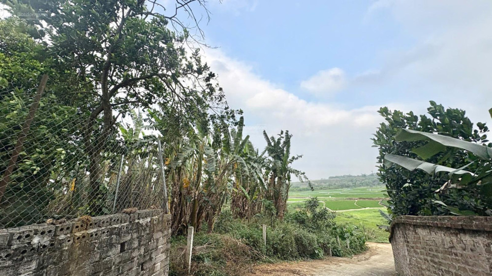 Lô Đất 1510M2 Đẹp Tiềm Năng Sinh Lời Gần Khu Cn Cao Hòa Lạc, Phú Cát (Phú Mãn Cũ), Huyện Quốc Oai,