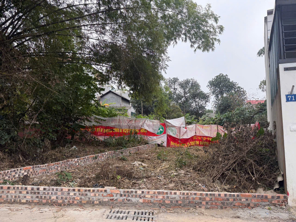Lô Đất Định Trung Giá Mềm – Đón Sóng Đường Đôi, Tiềm Năng Tăng Giá Cao