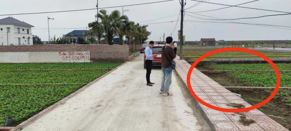 Đất Biển Quất Lâm – Giá Chỉ Nhỉnh 1.5 Tỷ Cơ Hội Hiếm Cho Nhà Đầu Tư Đón Sóng Bất Động Sản Biển Nam Đ