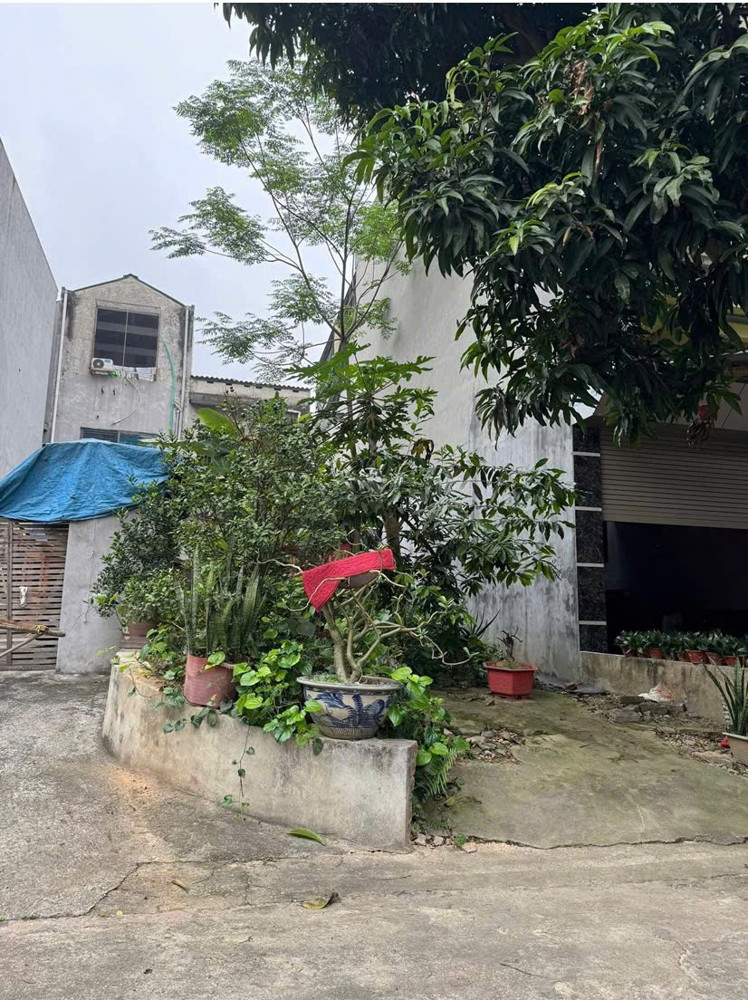 Chính Chủ Bán Đất Đẹp Khu Đồi Ông To – Phường Nông Trang, Tp. Việt Trì, Phú Thọ