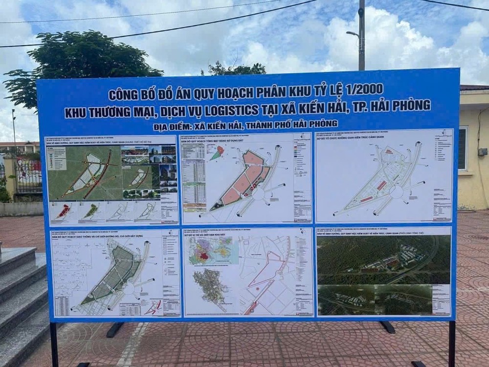 Bán Đất Tân Phong - Kiến Thụy - Tuyến 2 Đường 361 - Ngõ Rộng 4M