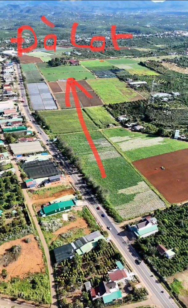 Đất Chính Chủ - Giá Tốt Tại Ql20 Xã Hòa Ninh, Huyện Di Linh, Tỉnh Lâm Đồng