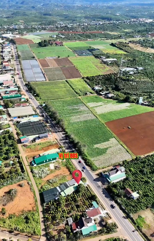 Đất Chính Chủ - Giá Tốt Tại Ql20 Xã Hòa Ninh, Huyện Di Linh, Tỉnh Lâm Đồng