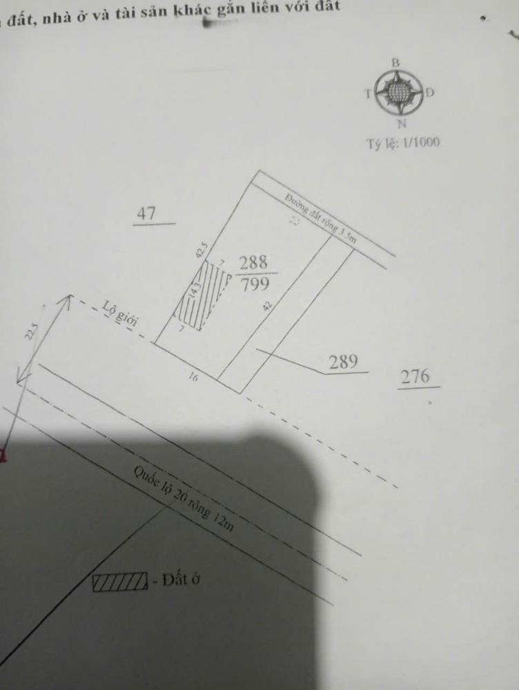 Đất Chính Chủ - Giá Tốt Tại Ql20 Xã Hòa Ninh, Huyện Di Linh, Tỉnh Lâm Đồng