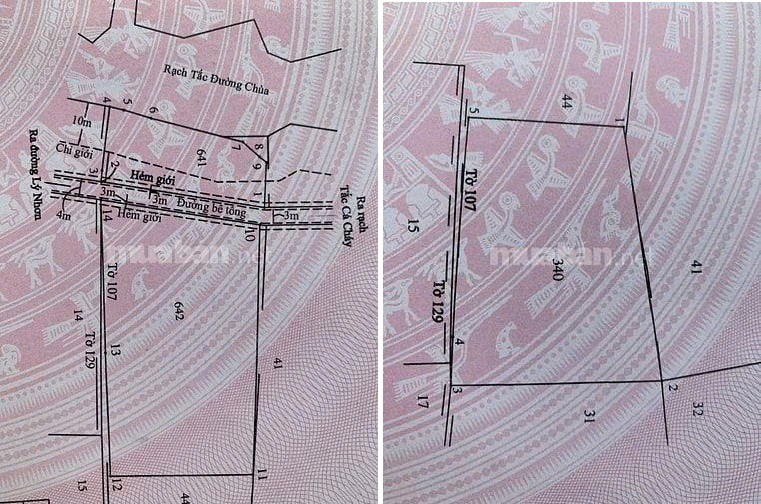 Đất Đẹp – Giá Tốt – Chính Chủ Cần Bán Lô Đất Liền Kề ( Đất Ao) Xã An Thới Đông, Cần Giờ, Tp. Hcm