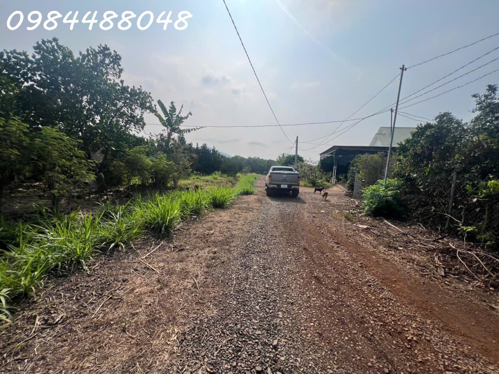 Bán Vườn 3216M2, Xuân Phú, Xuân Lộc. Đồng Nai. Giá 1,8 Ty. Lh 0984488048