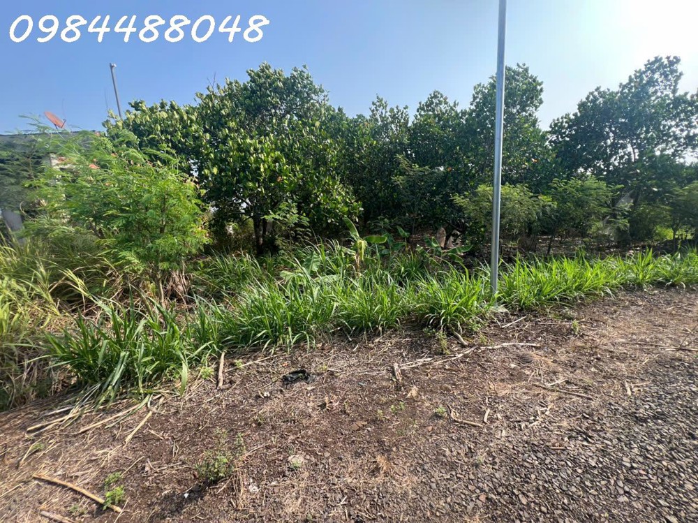 Bán Vườn 3216M2, Xuân Phú, Xuân Lộc. Đồng Nai. Giá 1,8 Ty. Lh 0984488048