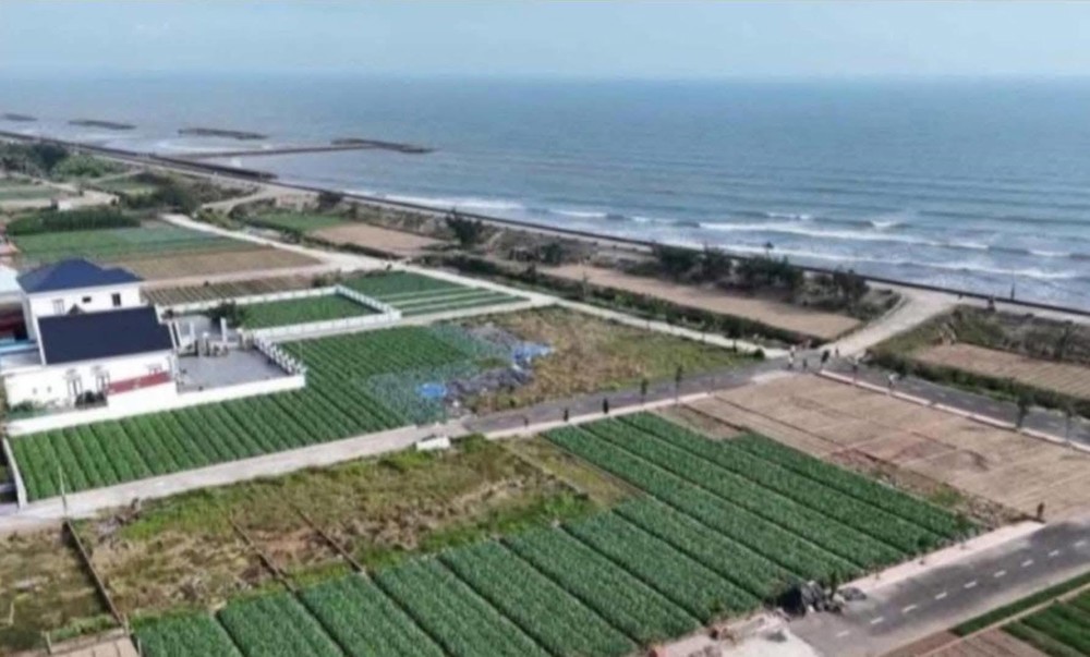 Tài Chính Nhỏ Dưới 2 Tỷ - Sở Hữu Ngay Lô Đất Biển: 1: Nằm Đối Diện Bãi Tắm Và Khu Đô Thị Biển Của T