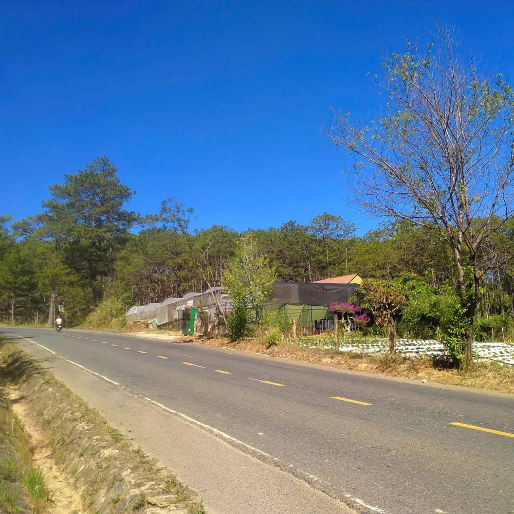 Đất Đẹp – Giá Tốt – Chính Chủ Cần Bán Đất Mặt Đường Quốc Lộ Tại Xã Đa Nhim Huyện Lạc Dương Lâm Đồng