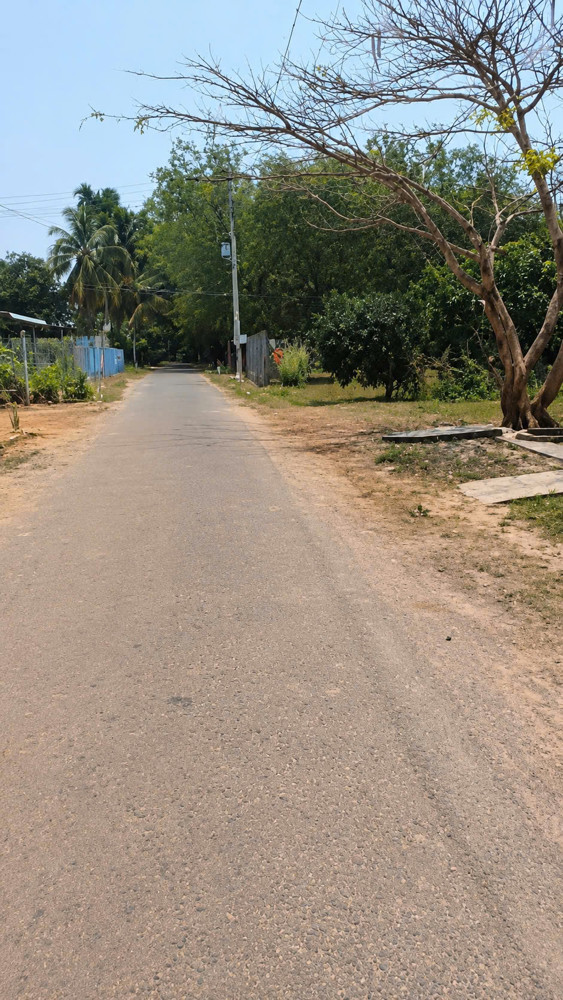 Đất Giá Tốt Tại Tây Ninh – Hơn 400Tr Sở Hữu Ngay – Đường Ô Tô Tới Đất
