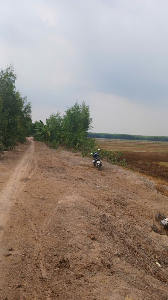 Chính Chủ Cần Bán Gấp Đất Đẹp – Giá Tốt – Huyện Thạnh Hoá - Long An